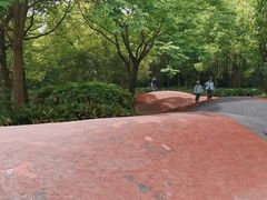 -黄兴公园