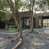 广州新店｜大锅！钟村来·回·Living已经踩好点 巨好拍！