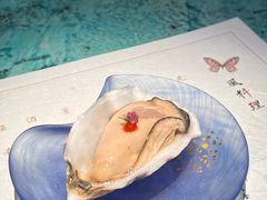-風料理.鮨Omakase