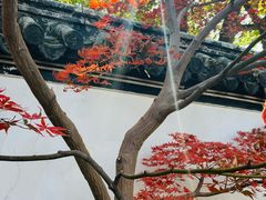 -汇龙潭