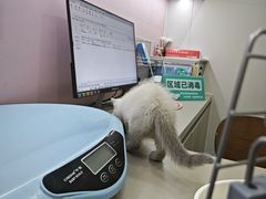 -阿荣24H宠物医院·综合型转诊中心·CT·核磁影像中心
