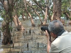 -宝安西湾红树林湿地公园