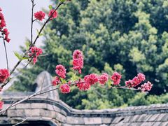 -乌山风景区