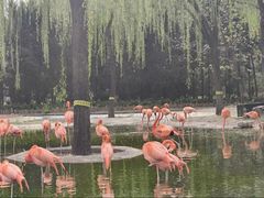 -石家庄市动物园