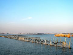-漕湖湿地公园