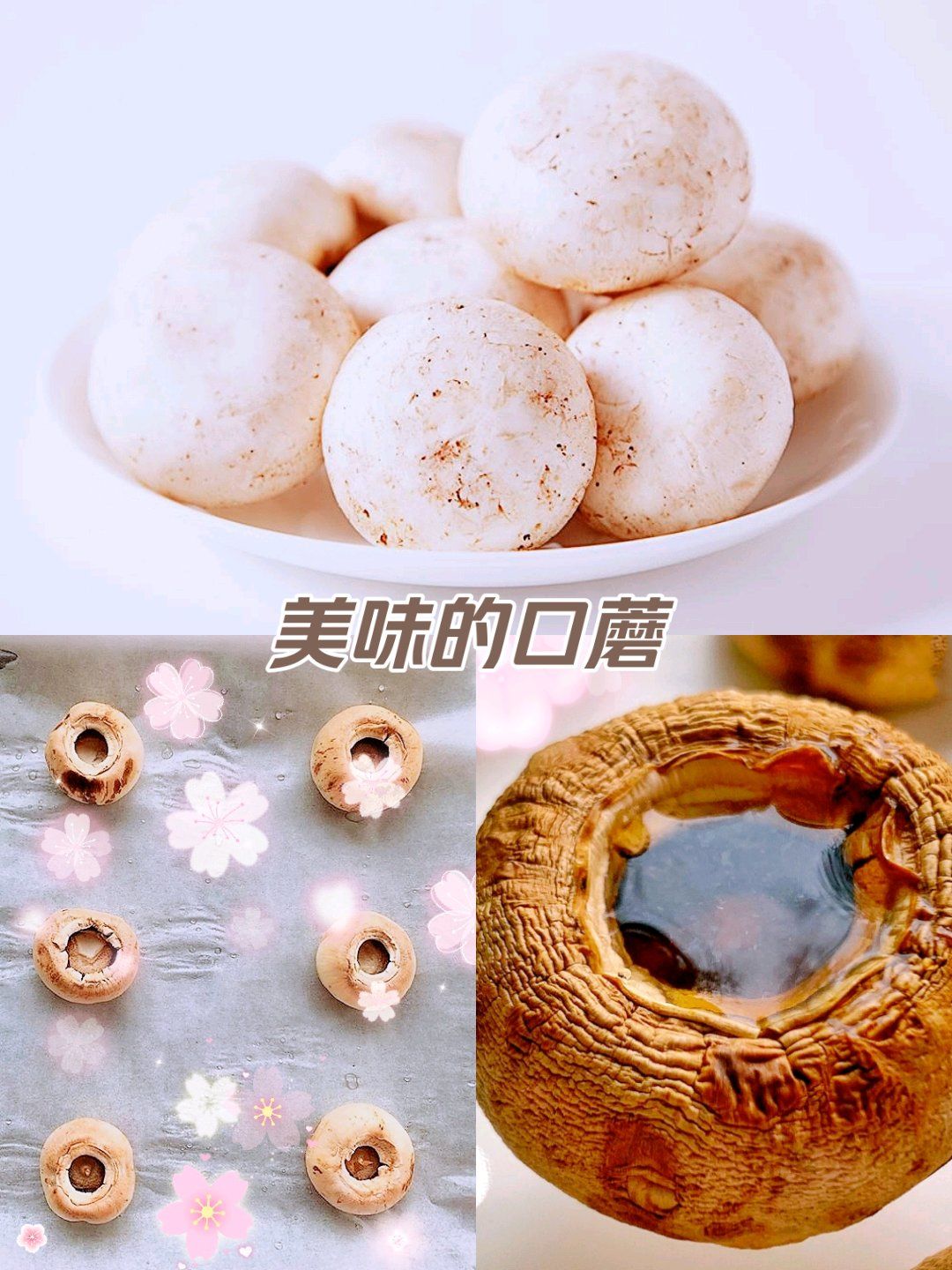 白白胖胖的美味口蘑