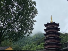-杭州西湖湖滨银泰亚朵酒店