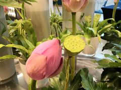 -南宫温泉水世界