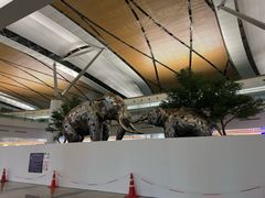 -曼谷素万那普国际机场