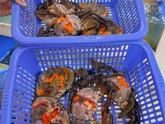 -南海渔家•海鲜•正宗海南菜(海棠湾店)