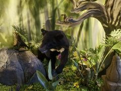 -西霞口神雕山野生动物世界