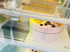 -维尔纳斯·生日蛋糕动物奶油冰淇淋蛋糕(人大店)