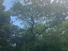 -西湖外事游船(花港观鱼码头)