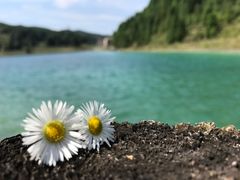 -武陵山森林公园