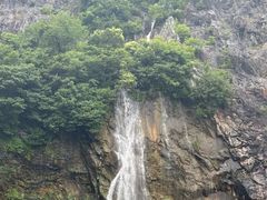 -上海辰山植物园