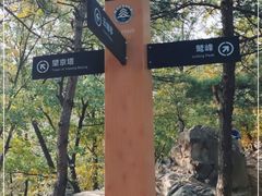 -北京鹫峰国家森林公园