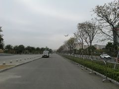 景点-宝安西湾红树林湿地公园