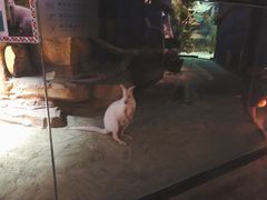 -zoonana室内动物园(东方福来德店)