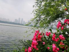 -东湖磨山景区