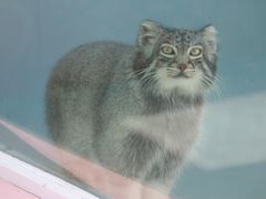 -青藏高原野生动物园