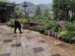 -先机泉水鸡汤(南山老君洞店)