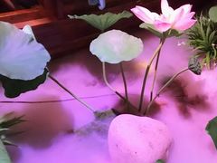 -韵秋荷(宝山龙湖天街店)