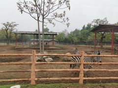 -西安秦岭野生动物园