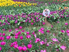 -苏州上方山国家森林公园