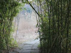 -苏州太湖国家湿地公园