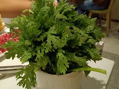 茼蒿好大一把-古乐牛香鲜牛肉牛杂火锅(观前街店)
