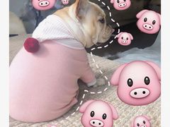 -兄弟俩老李家牛肉汤(总店)