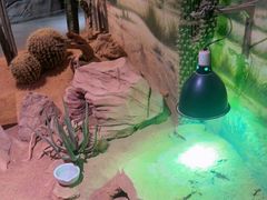 -正佳雨林生态植物园