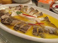 -味到1981日照海鲜·渔饺子