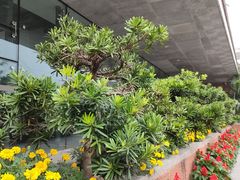 -南越王博物院(王宫展区)
