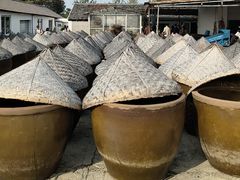 -苏州市吴中区光福窑上花果蜜饯厂