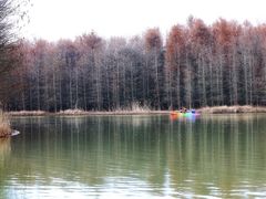 -上海海湾国家森林公园