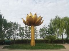 -白洋淀景区