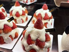 -万达广场(齐齐哈尔建华店)