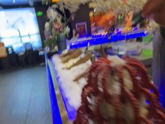 -九月海·海鲜自助(世纪东方店)