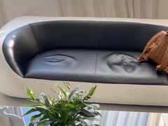 -德尚口腔(金碧店)