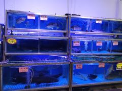 -八仔大富楼·河鲜(西江店)