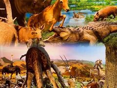 -国家自然博物馆