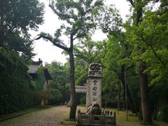 -灵谷景区