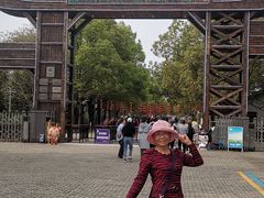 -溱湖国家湿地公园