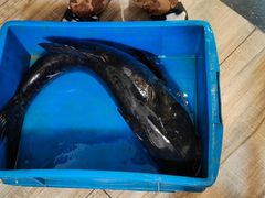 -旭龙鱼头王(航华店)