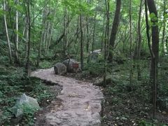 -青峰峡国家森林公园