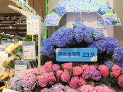-盒马鲜生(岭南新世界店)