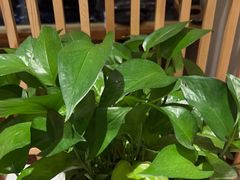 -龍二烧肉酒场(九亭店)