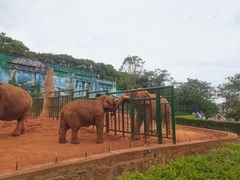 -昆明动物园