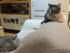 -小时光咖啡馆(开森度假森林店)